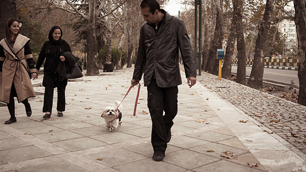 Man walking a small dog along a sidewalk