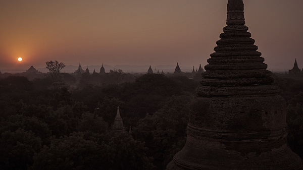 Temple spire rising above trees at sunset