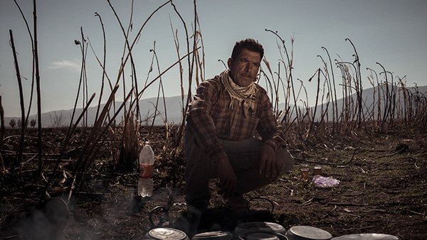 Field worker preparing food for their lunch. Shiraz, Iran